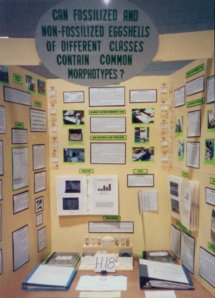 Science Fair Display Board Example: Biology / Geology / Evolution Project